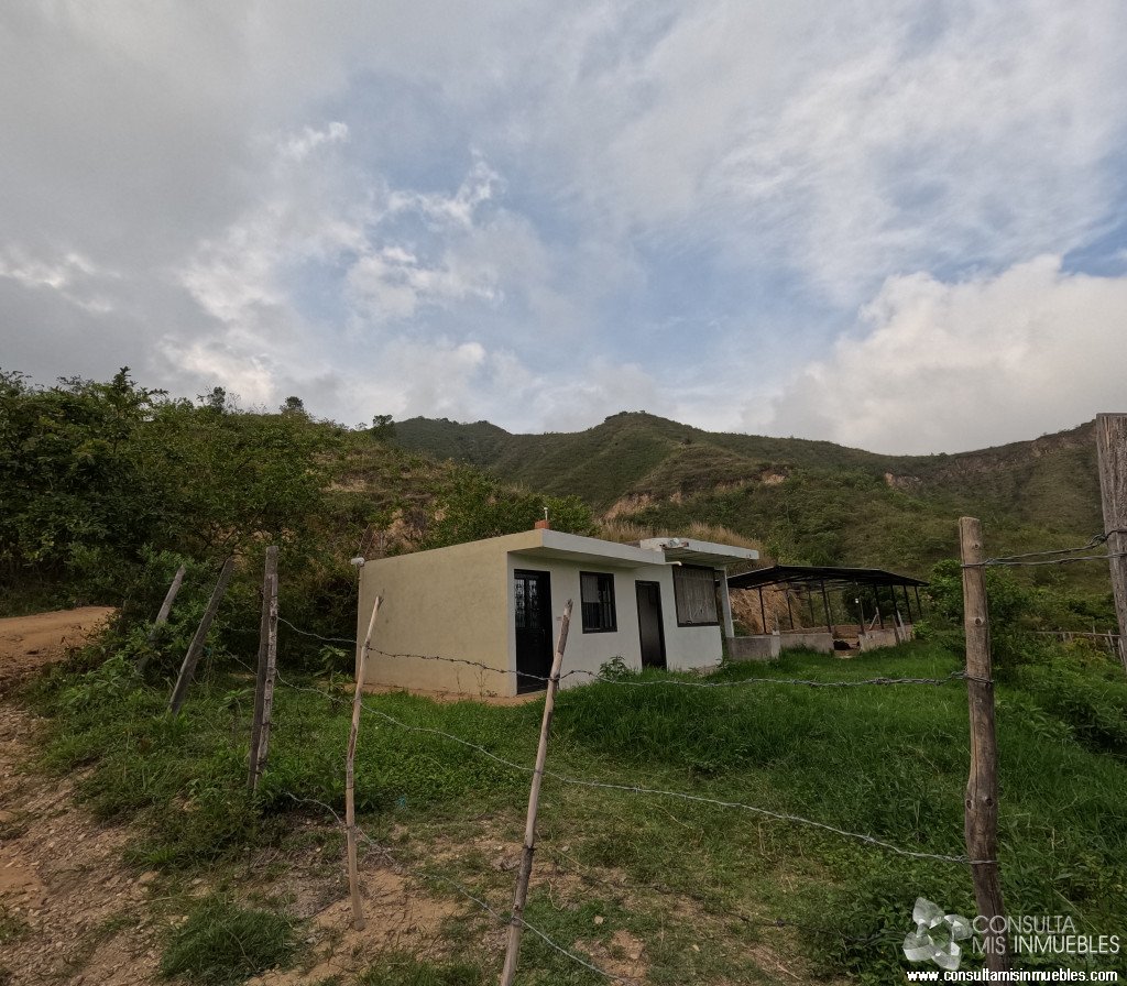 Vendo Finca en el Barrio  en Alvarado, Tolima de Colombia | Consulta Mis Inmuebles S.A.S. | Tu nuevo comienzo empieza hoy!