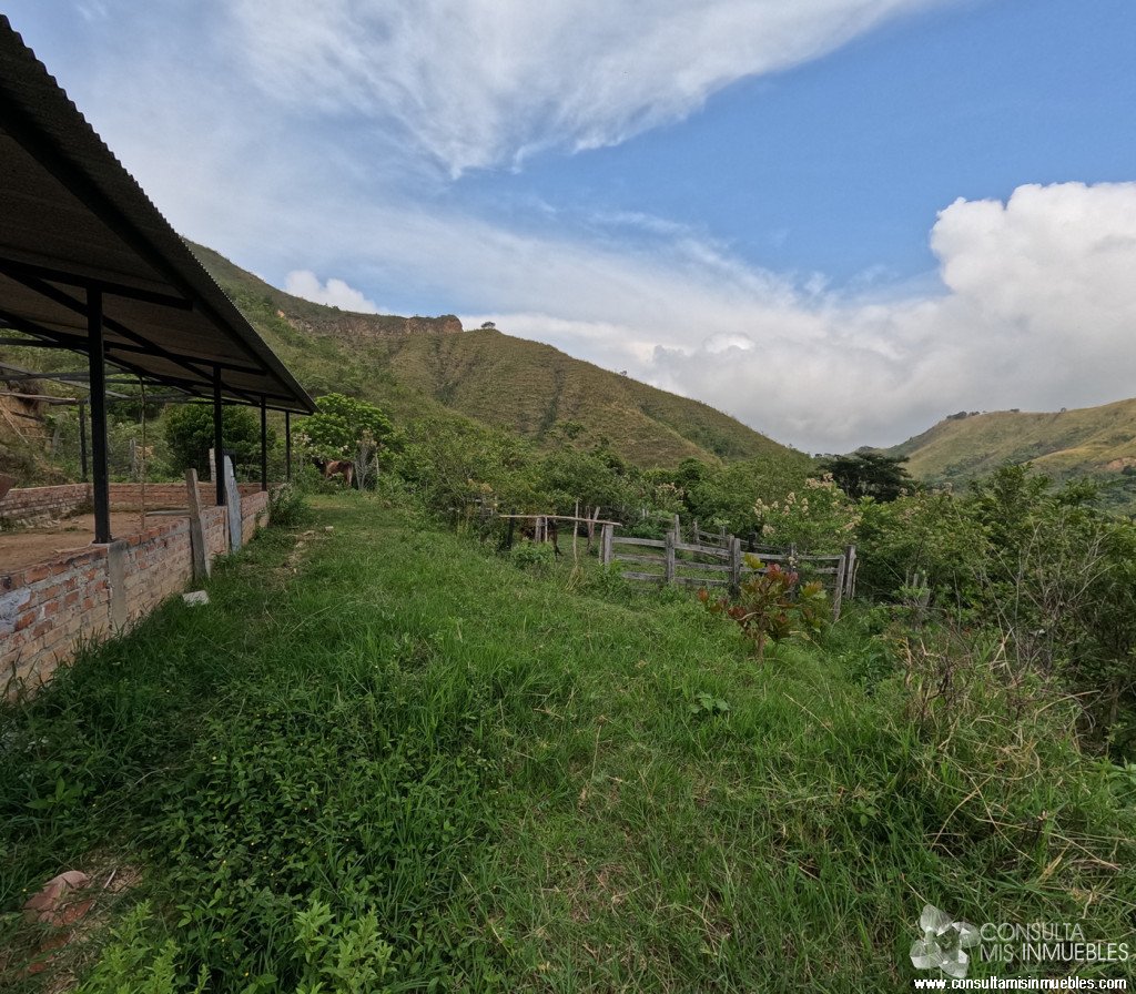 Vendo Finca en el Barrio  en Alvarado, Tolima de Colombia | Consulta Mis Inmuebles S.A.S. | Tu nuevo comienzo empieza hoy!