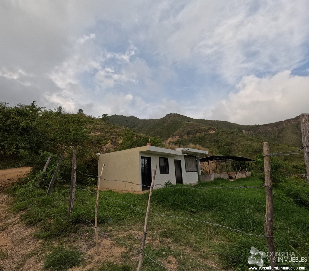 Vendo Finca en el Barrio  en Alvarado, Tolima de Colombia | Consulta Mis Inmuebles S.A.S. | Tu nuevo comienzo empieza hoy!