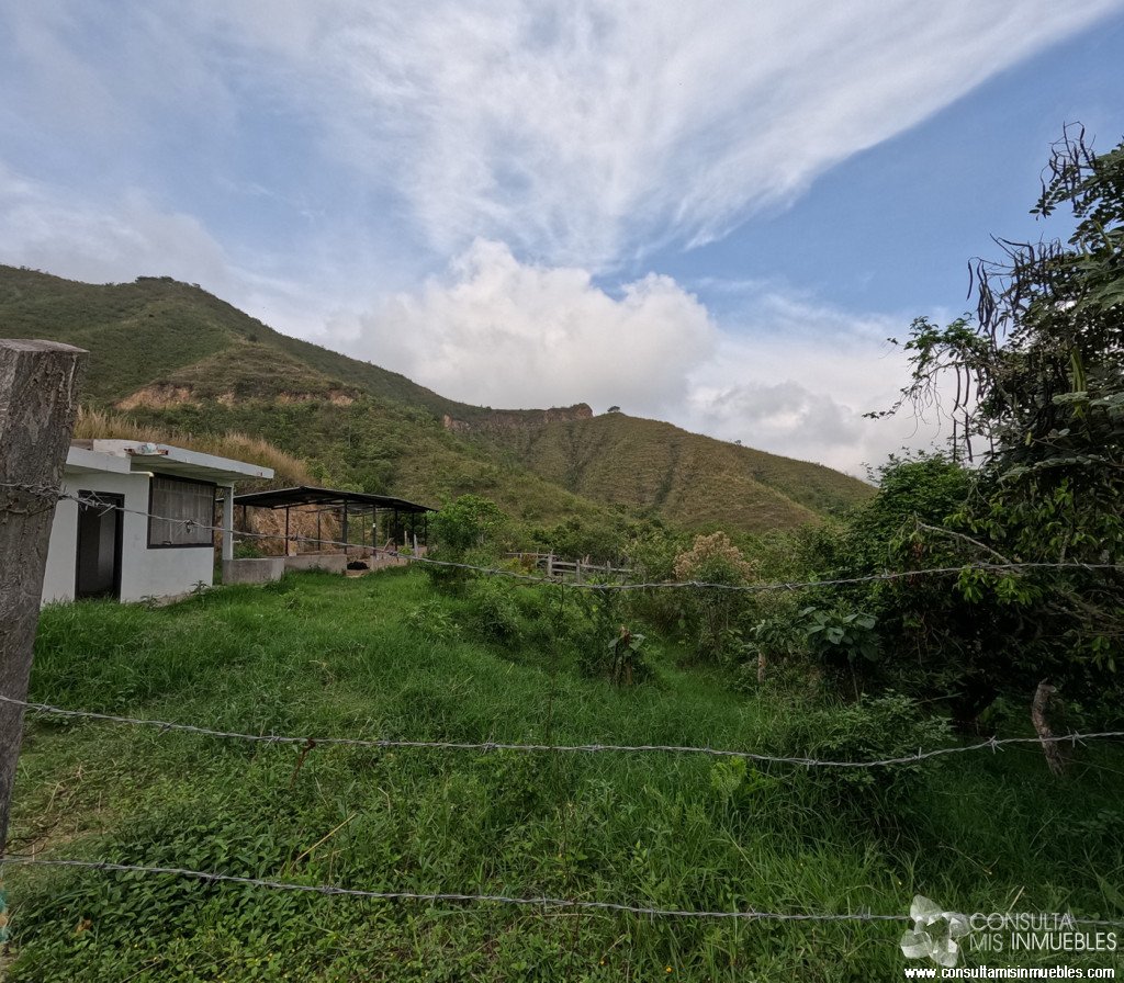 Vendo Finca en el Barrio  en Alvarado, Tolima de Colombia | Consulta Mis Inmuebles S.A.S. | Tu nuevo comienzo empieza hoy!