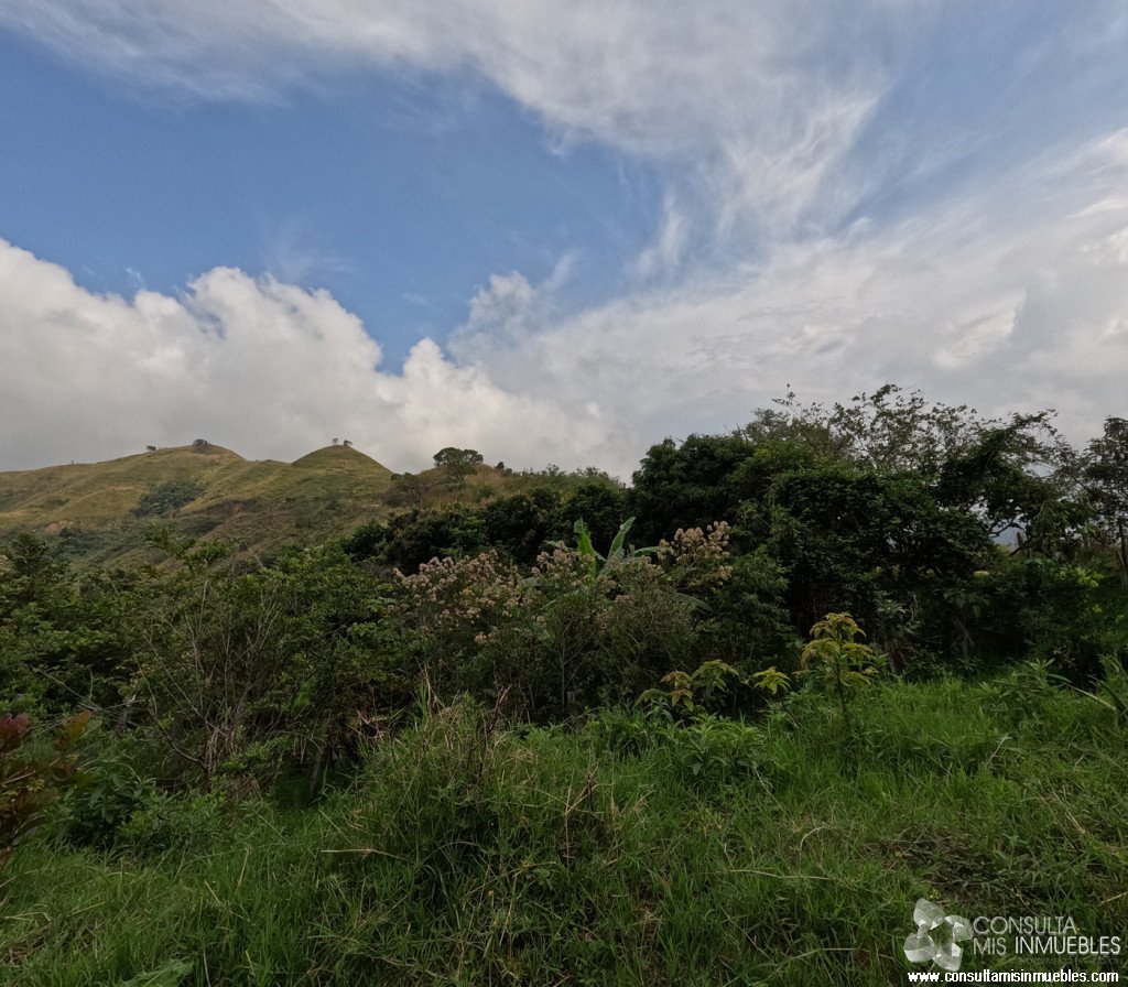 Vendo Finca en el Barrio  en Alvarado, Tolima de Colombia | Consulta Mis Inmuebles S.A.S. | Tu nuevo comienzo empieza hoy!