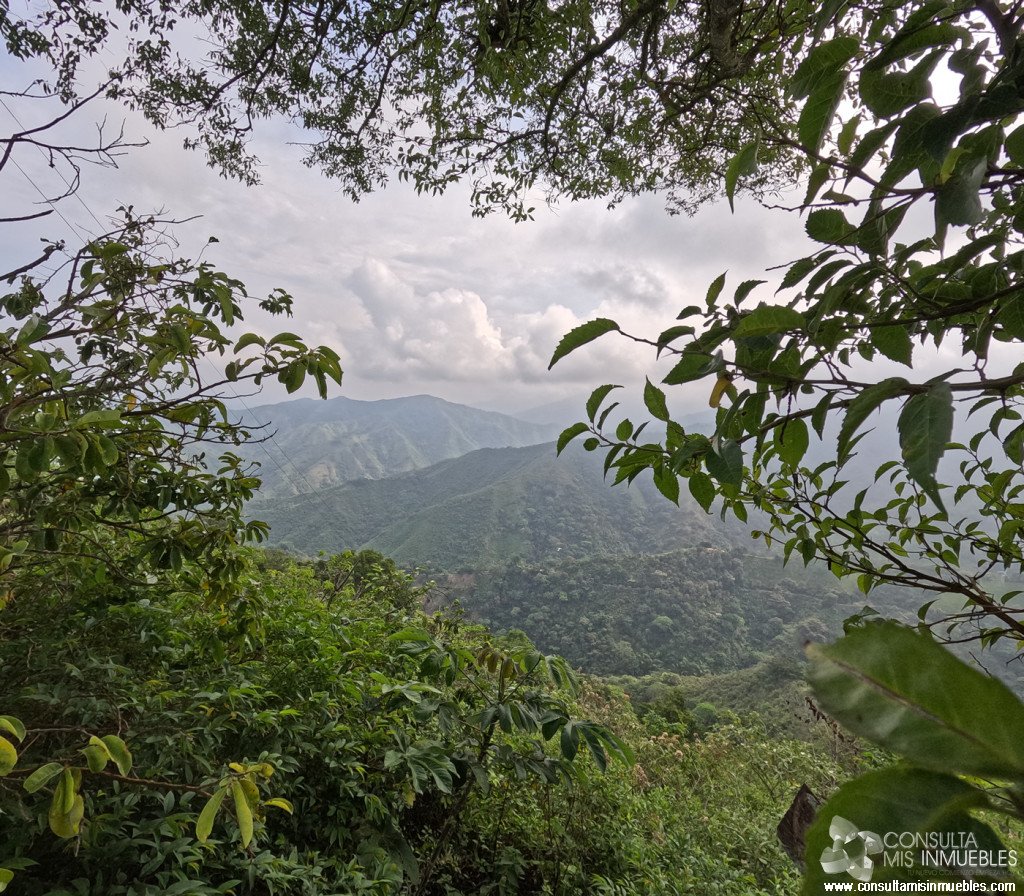 Vendo Finca en el Barrio  en Alvarado, Tolima de Colombia | Consulta Mis Inmuebles S.A.S. | Tu nuevo comienzo empieza hoy!