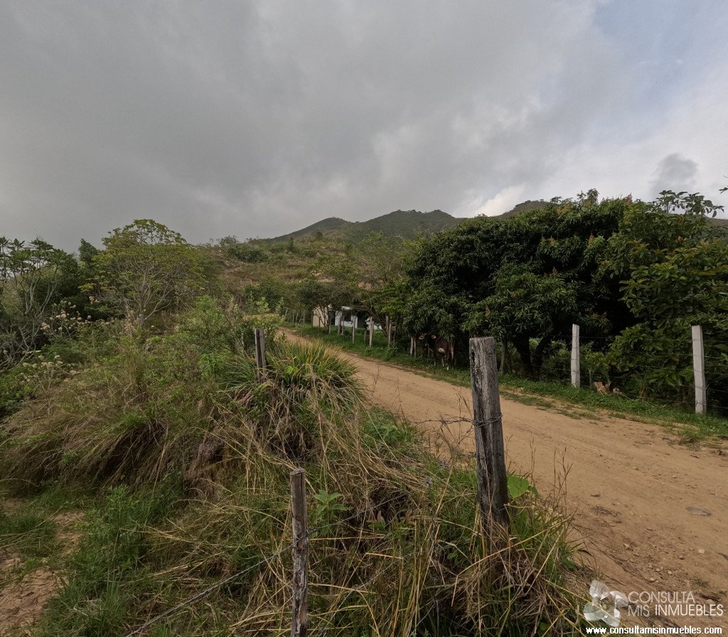 Vendo Finca en el Barrio  en Alvarado, Tolima de Colombia | Consulta Mis Inmuebles S.A.S. | Tu nuevo comienzo empieza hoy!