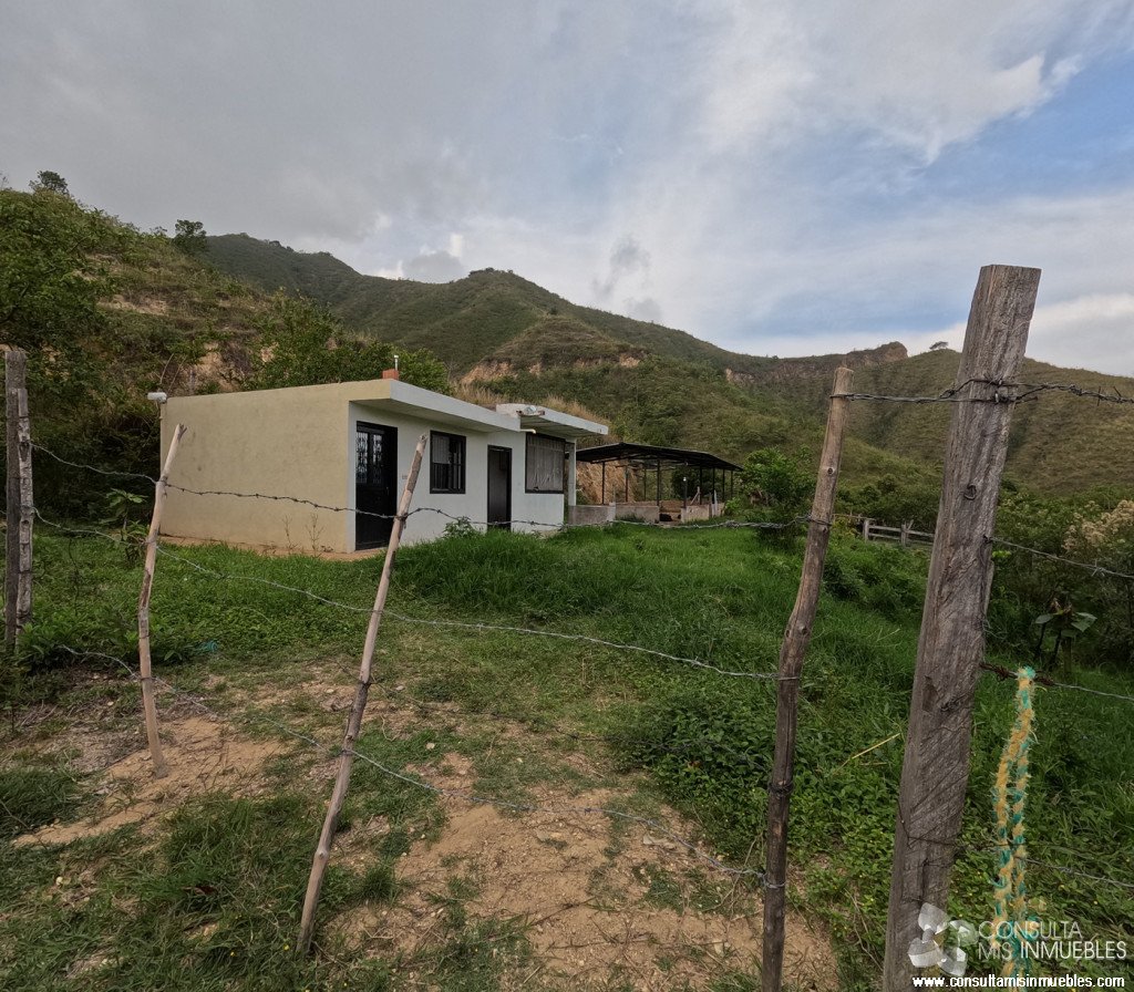 Vendo Finca en el Barrio  en Alvarado, Tolima de Colombia | Consulta Mis Inmuebles S.A.S. | Tu nuevo comienzo empieza hoy!