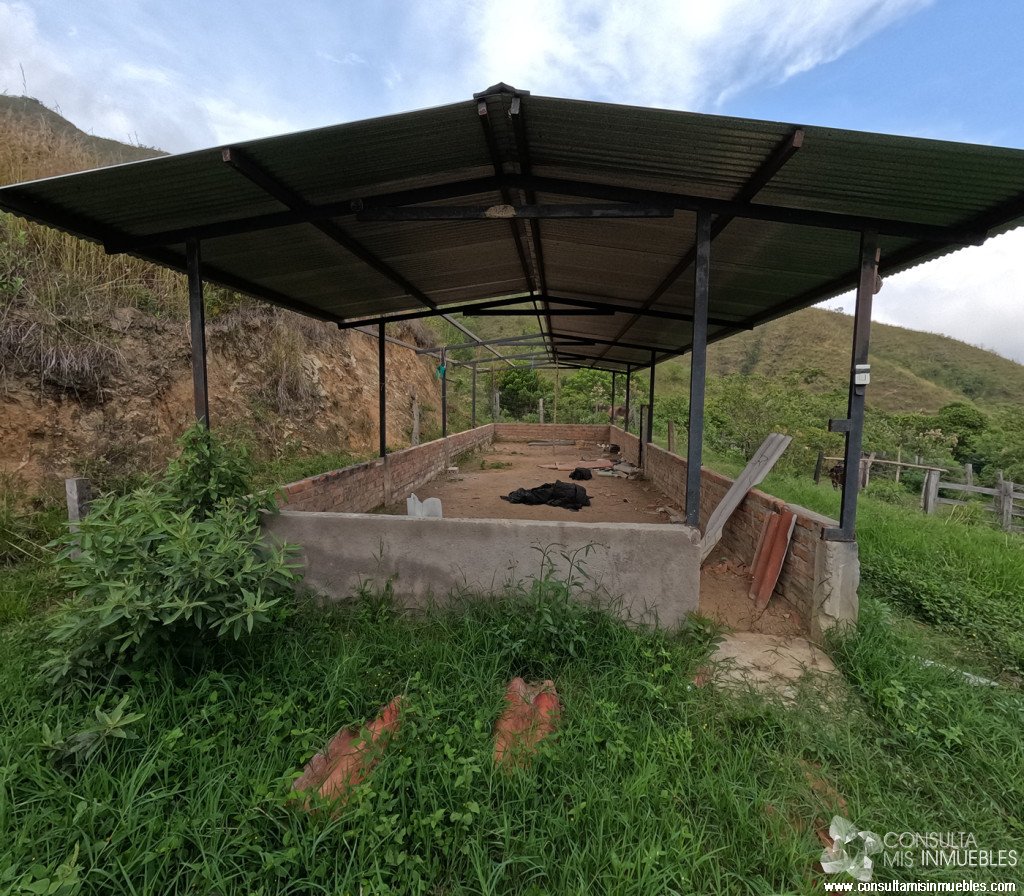 Vendo Finca en el Barrio  en Alvarado, Tolima de Colombia | Consulta Mis Inmuebles S.A.S. | Tu nuevo comienzo empieza hoy!