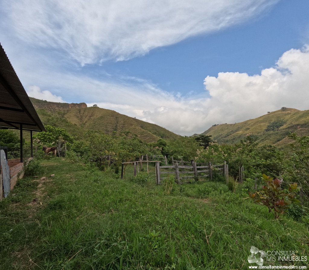 Vendo Finca en el Barrio  en Alvarado, Tolima de Colombia | Consulta Mis Inmuebles S.A.S. | Tu nuevo comienzo empieza hoy!