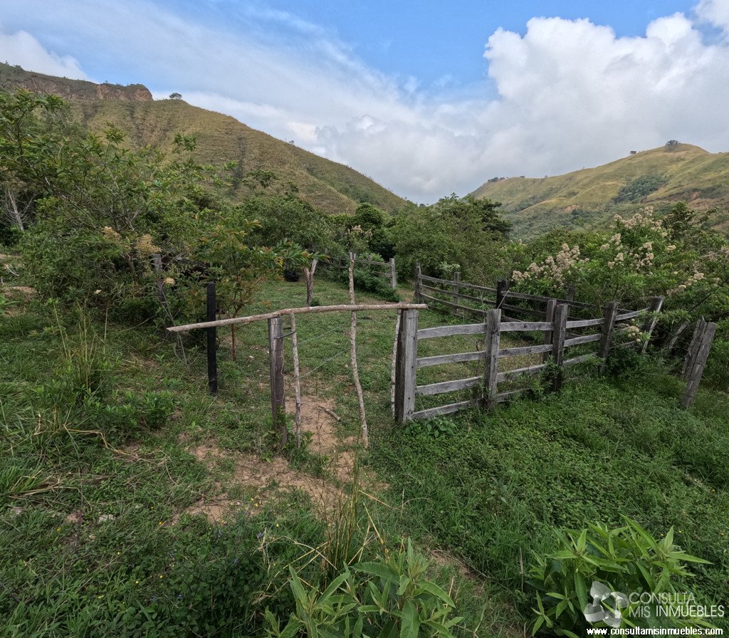 Vendo Finca en el Barrio  en Alvarado, Tolima de Colombia | Consulta Mis Inmuebles S.A.S. | Tu nuevo comienzo empieza hoy!