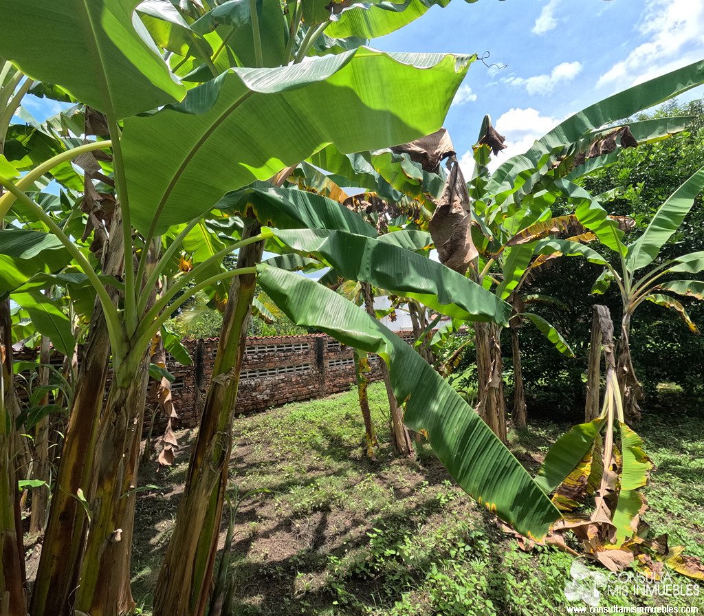 Vendo 3 Lotes en Melgar (Inversionistas), Tolima de Colombia | Consulta Mis Inmuebles S.A.S. | Tu nuevo comienzo empieza hoy!