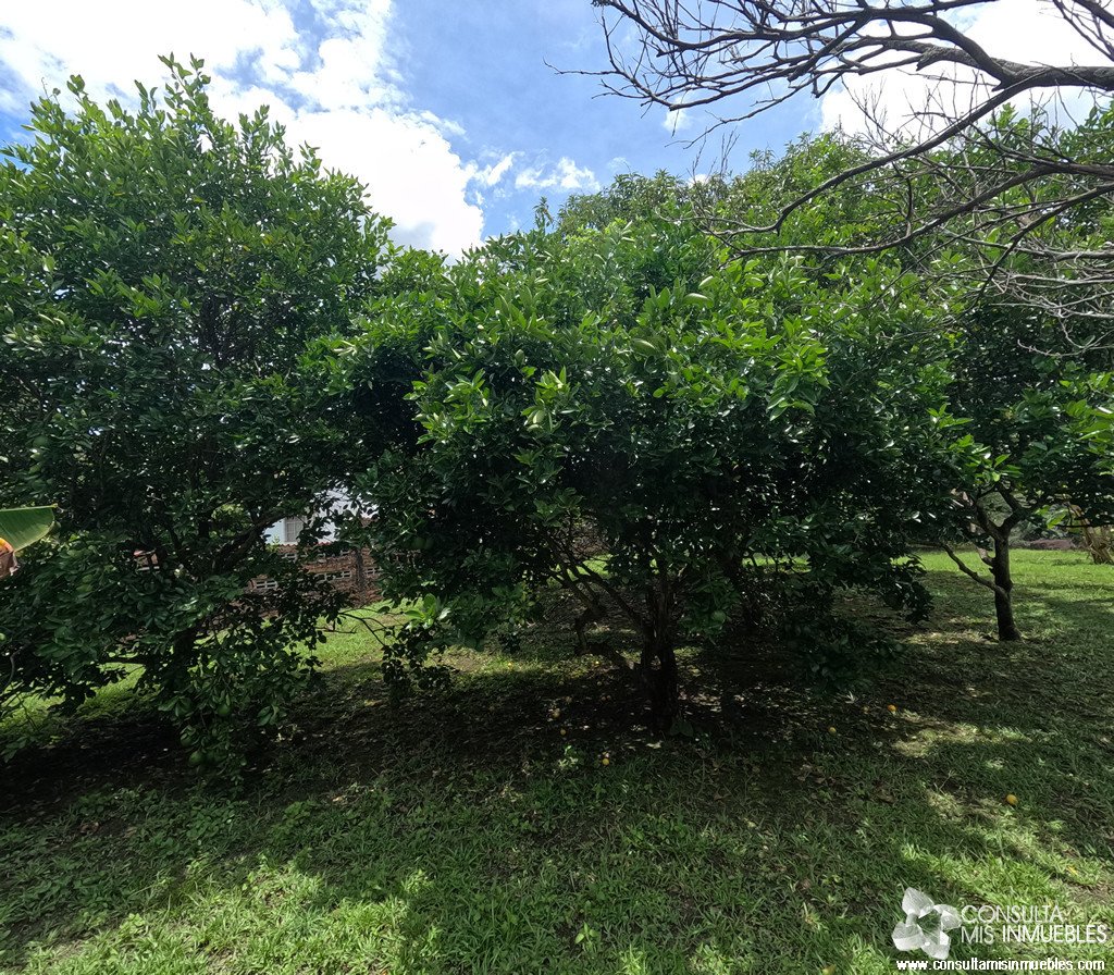 Vendo 3 Lotes en Melgar (Inversionistas), Tolima de Colombia | Consulta Mis Inmuebles S.A.S. | Tu nuevo comienzo empieza hoy!
