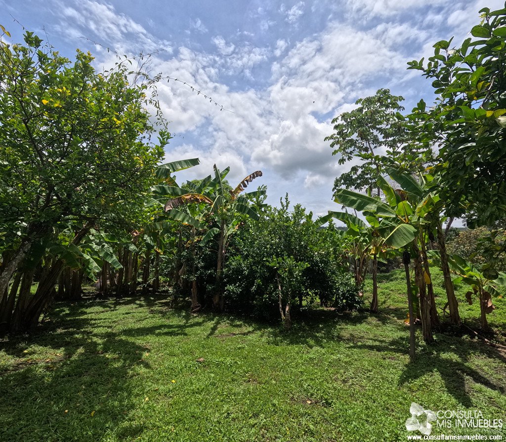 Vendo 3 Lotes en Melgar (Inversionistas), Tolima de Colombia | Consulta Mis Inmuebles S.A.S. | Tu nuevo comienzo empieza hoy!