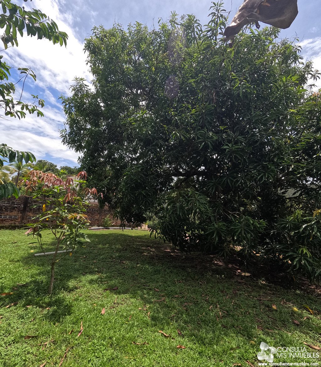 Vendo 3 Lotes en Melgar (Inversionistas), Tolima de Colombia | Consulta Mis Inmuebles S.A.S. | Tu nuevo comienzo empieza hoy!