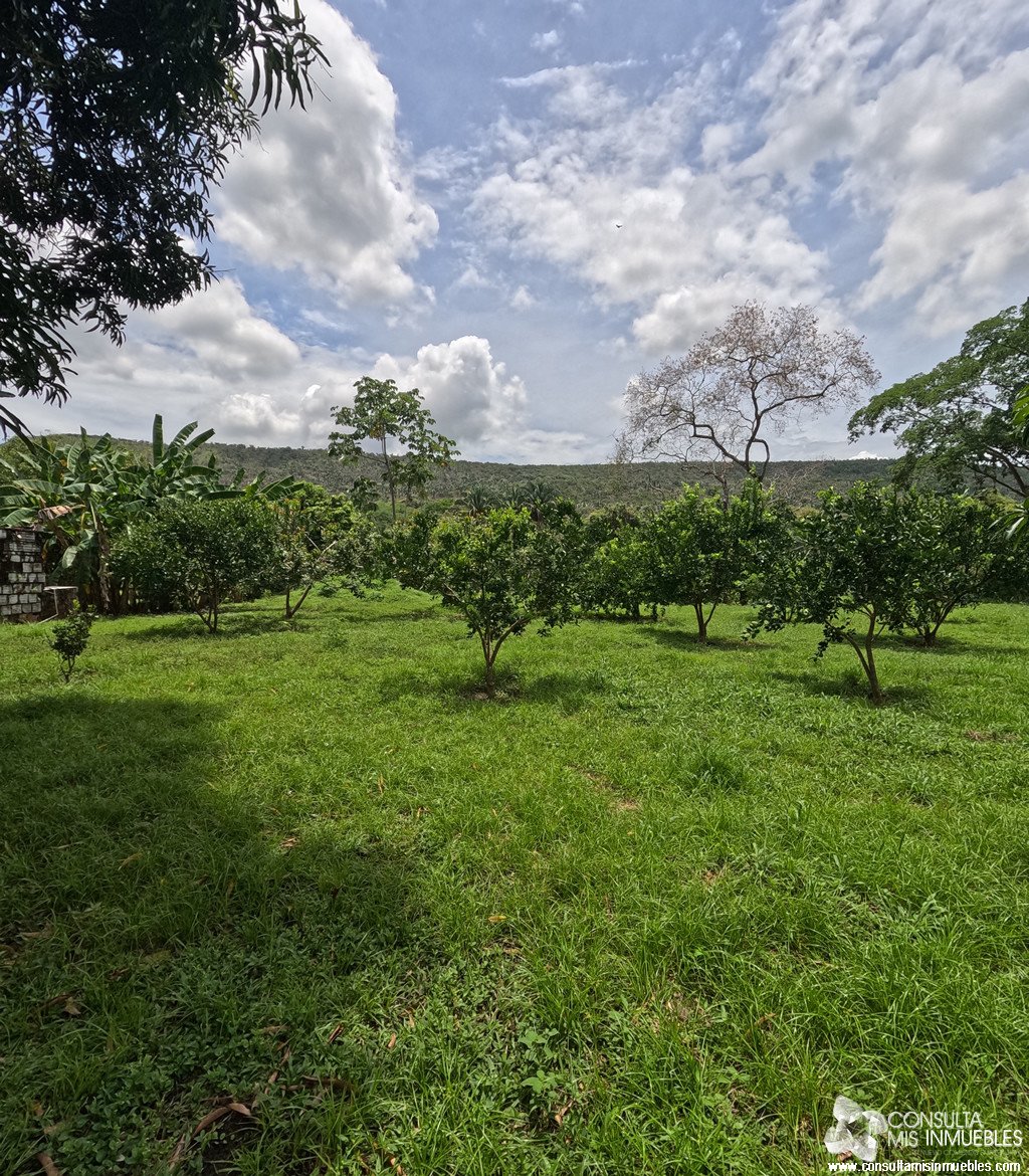 Vendo 3 Lotes en Melgar (Inversionistas), Tolima de Colombia | Consulta Mis Inmuebles S.A.S. | Tu nuevo comienzo empieza hoy!