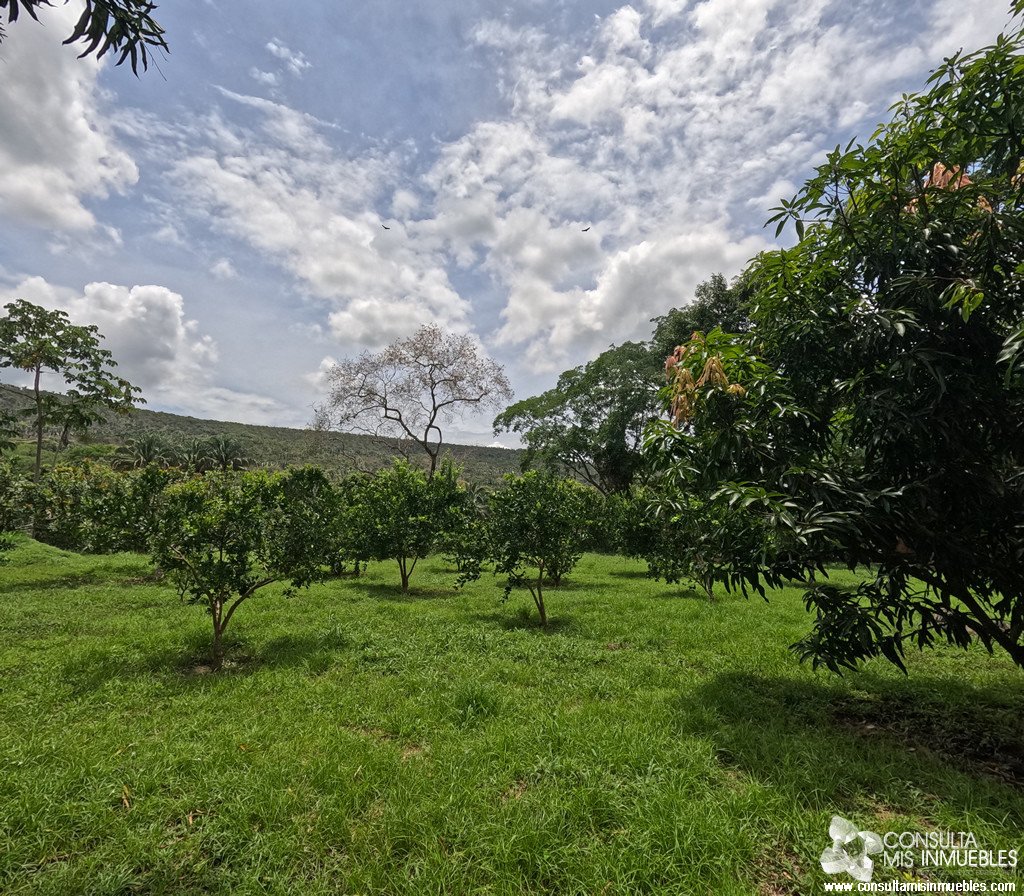 Vendo 3 Lotes en Melgar (Inversionistas), Tolima de Colombia | Consulta Mis Inmuebles S.A.S. | Tu nuevo comienzo empieza hoy!