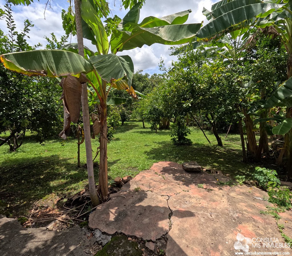 Vendo 3 Lotes en Melgar (Inversionistas), Tolima de Colombia | Consulta Mis Inmuebles S.A.S. | Tu nuevo comienzo empieza hoy!