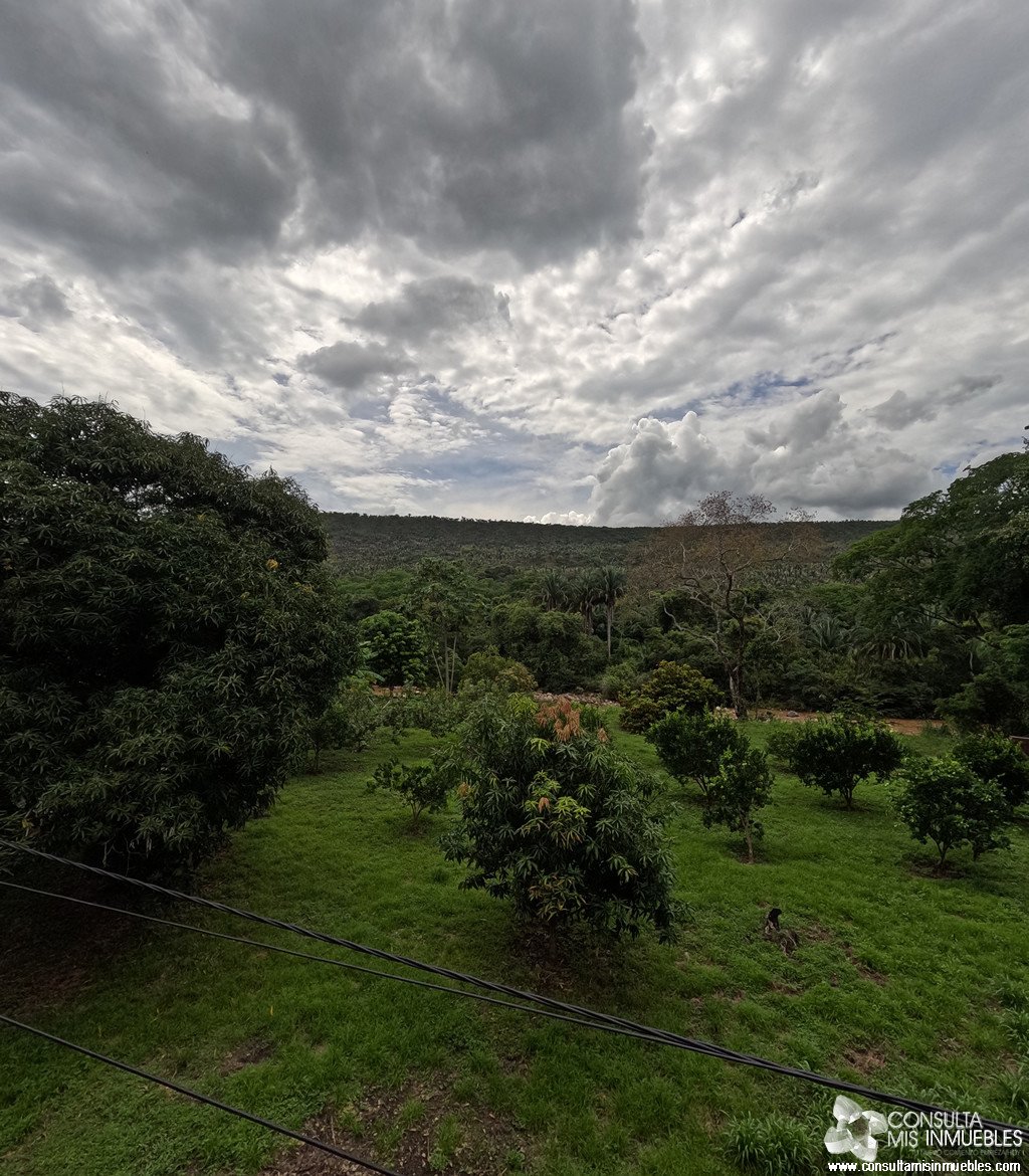 Vendo 3 Lotes en Melgar (Inversionistas), Tolima de Colombia | Consulta Mis Inmuebles S.A.S. | Tu nuevo comienzo empieza hoy!