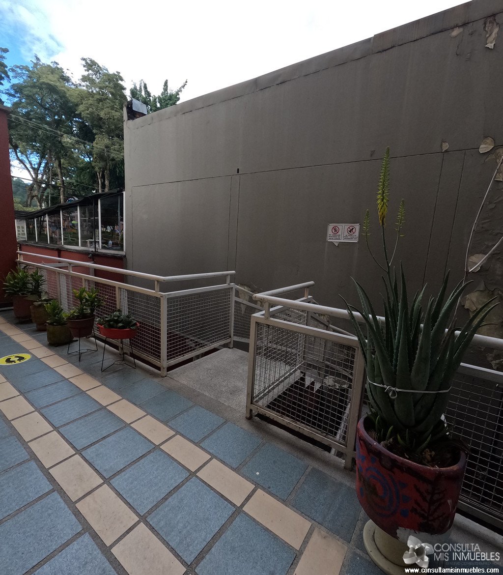 Arriendo Apartamento en el Conjunto Cerrado Fuente de Belén, en Ibagué, Tolima de Colombia | Consulta Mis Inmuebles S.A.S. | Tu nuevo comienzo empieza hoy!