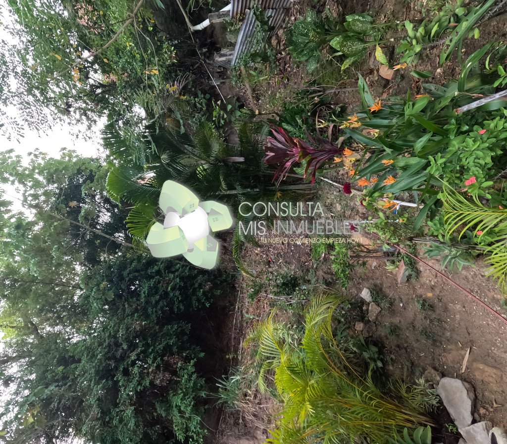 🏠 Apartamento en Arriendo (Piso 1) - Barrio Icacal Alto, Melgar 🏠 | Consulta Mis Inmuebles S.A.S. | Tu nuevo comienzo empieza hoy!