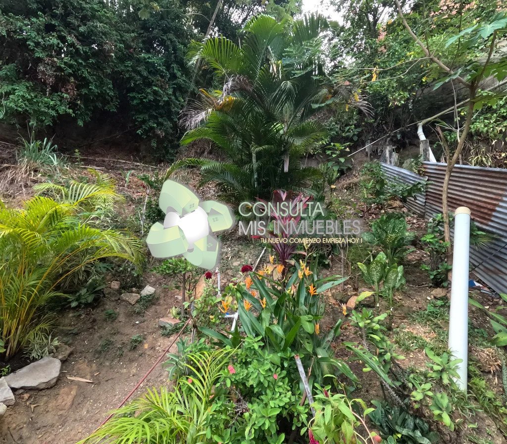 🏠 Apartamento en Arriendo (Piso 1) - Bo. Icacal Alto, Melgar 🏠 | Consulta Mis Inmuebles S.A.S. | Tu nuevo comienzo empieza hoy!
