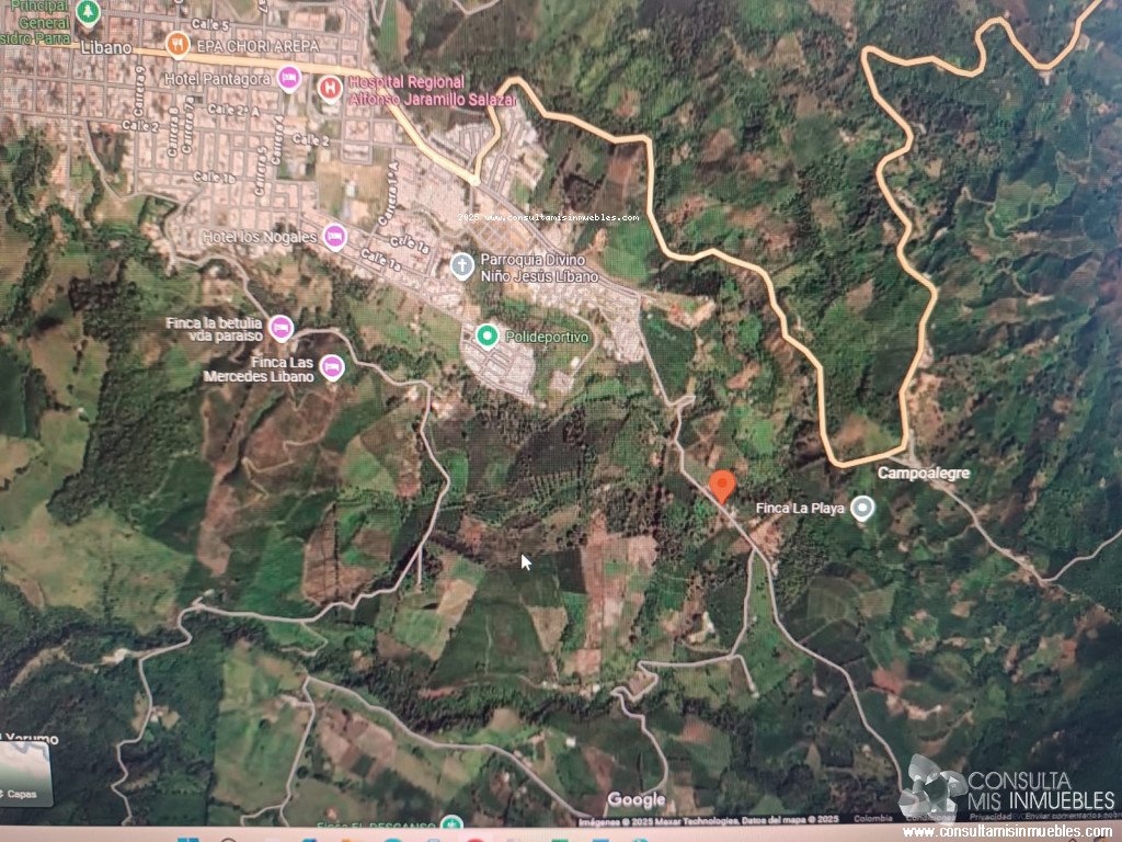 Vendo lote para invertir en la zona rural del Líbano, Tolima | Consulta Mis Inmuebles S.A.S. | Tu nuevo comienzo empieza hoy!